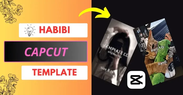 Habibi CapCut template links