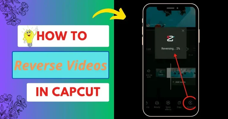 How to reverse a video on CapCut